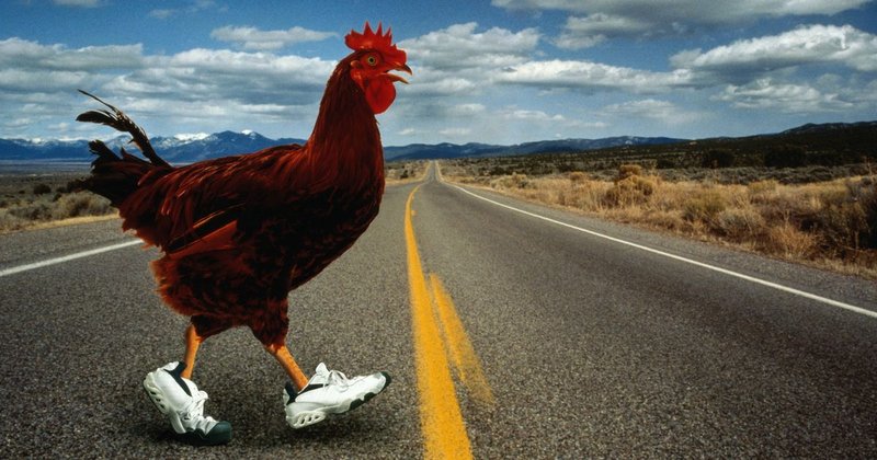 Geniet van De Bekende Chicken Road Gokspel in Nederland Nu Online, chicken road slot